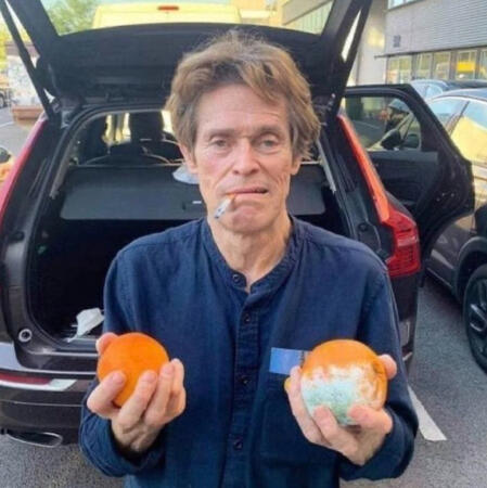 willem dafoe holding two oranges. one is moldy